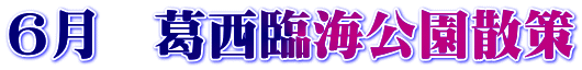 6@ՊCU